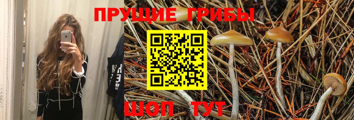 Можайск  Псилоцибиновые грибы GOLDEN TEACHER  Вход с VPN 